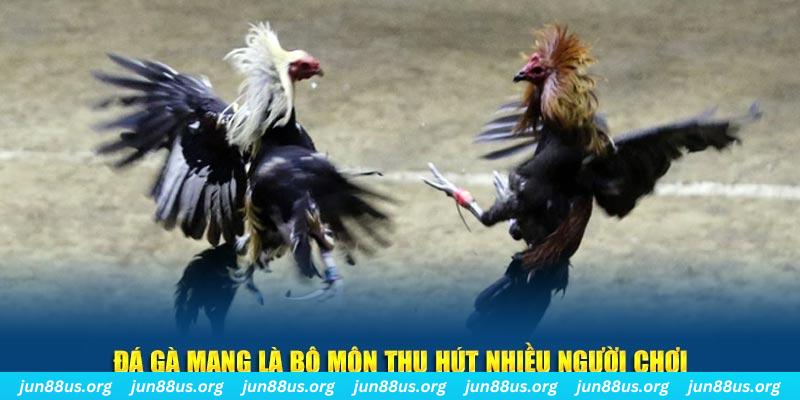 xs 66 tại sao tải game bài sunwin không được