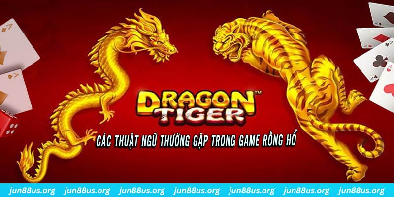 xs 66 ÁT CHỦ BÀI ĐẤU ĐỊA CHỦ