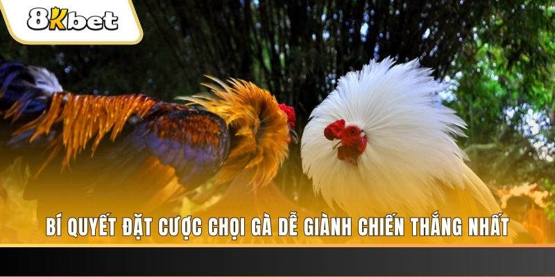 xs 66 xổ số thứ hai hàng tuần