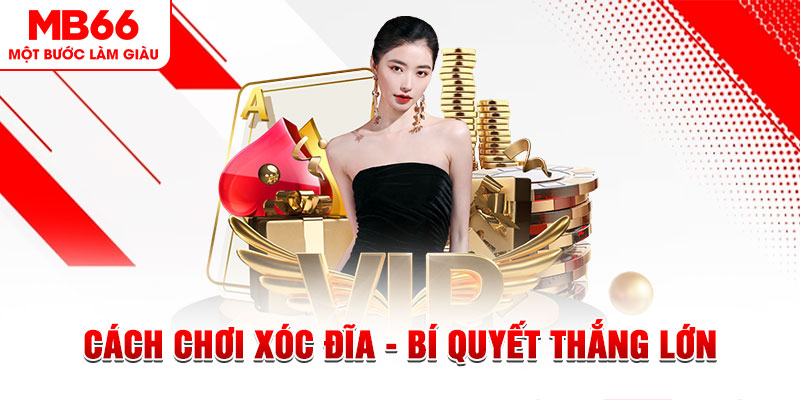 xs 66 trực tiếp đá gà c1 hôm nay
