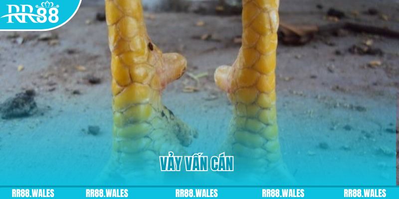 xs 66 đăng nhập nổ hũ hôm nay