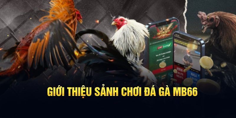 xs 66 đăng nhập poker hôm nay